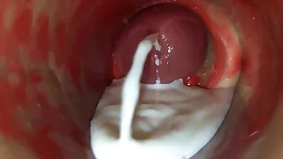 Sex Gay Porn 7